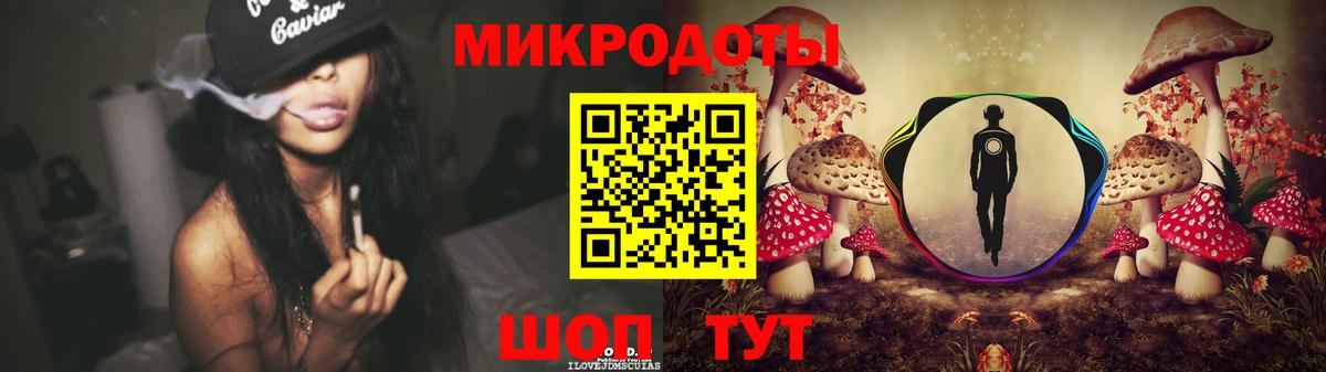 Псилоцибиновые грибы Psilocybine cubensis Сальск
